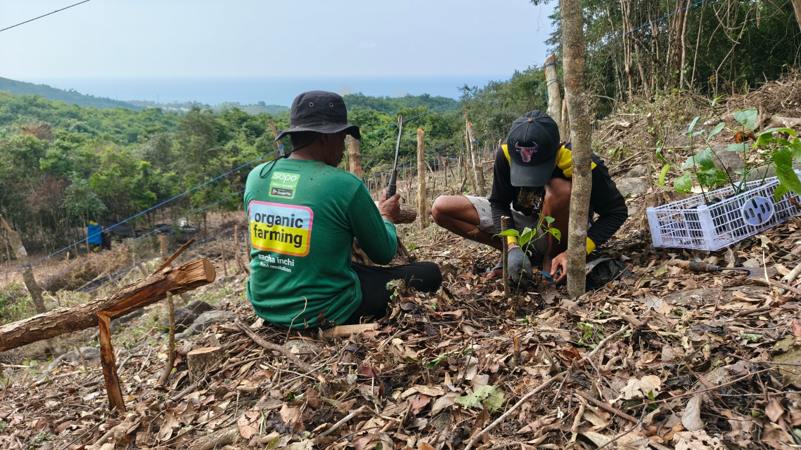 Field activity for a Sacha Inchi plantation project in East Lombok